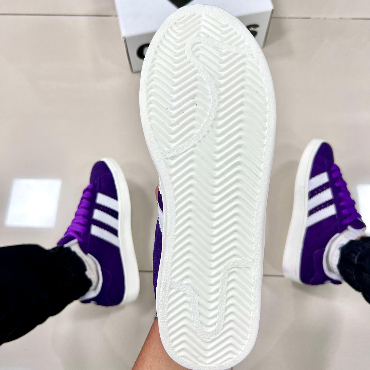 Campus Roxo Premium